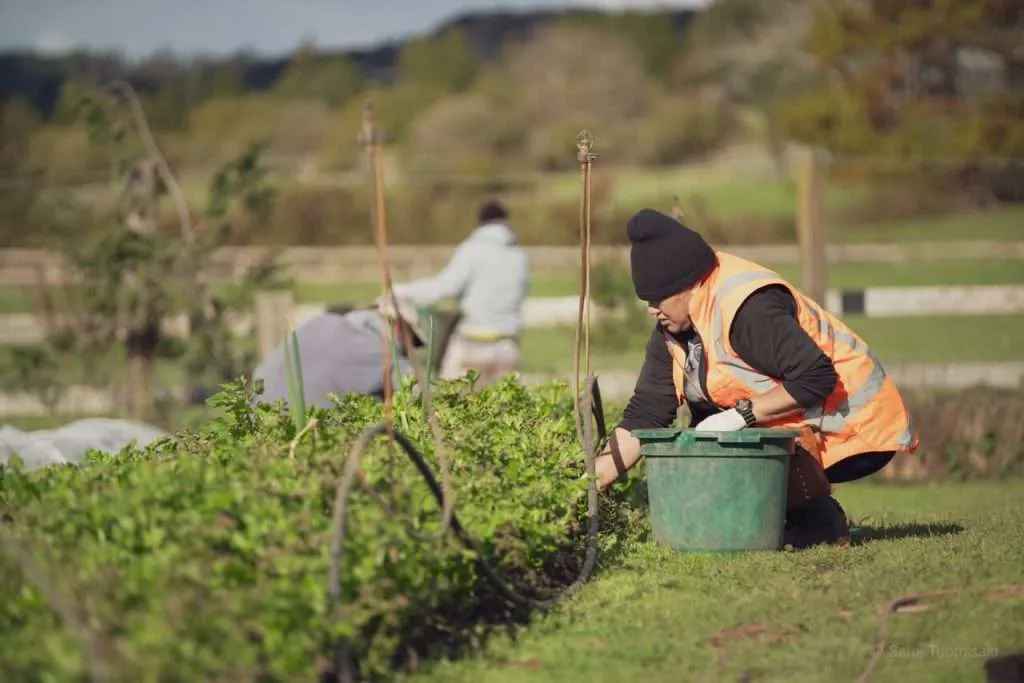 A organic worker - Sami Tuomisalo photography